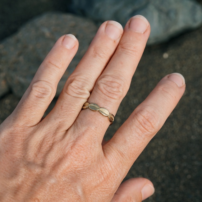 Anillo de acero de oro con conchas